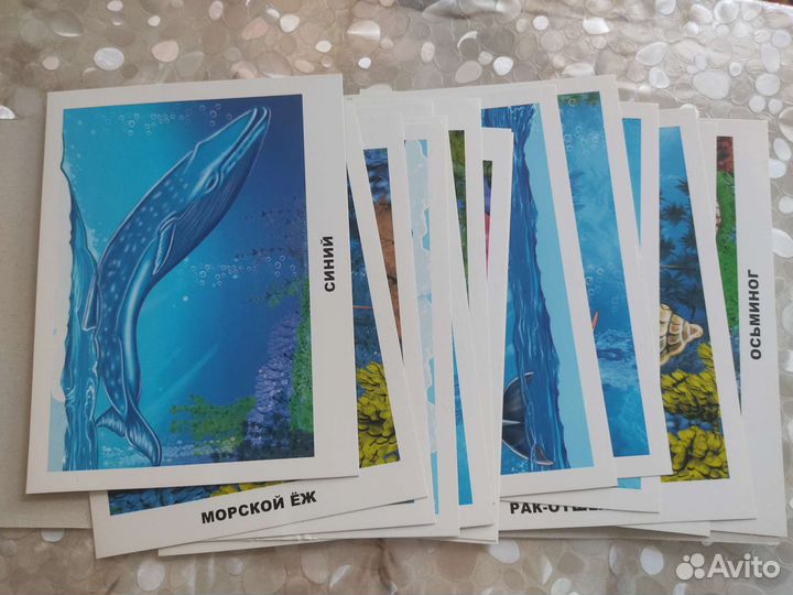 Обучающие карточки для малышей