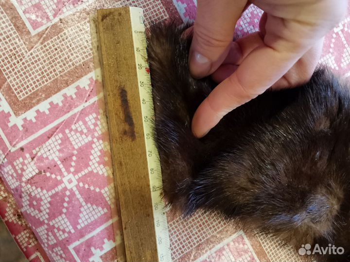 Воротник норки