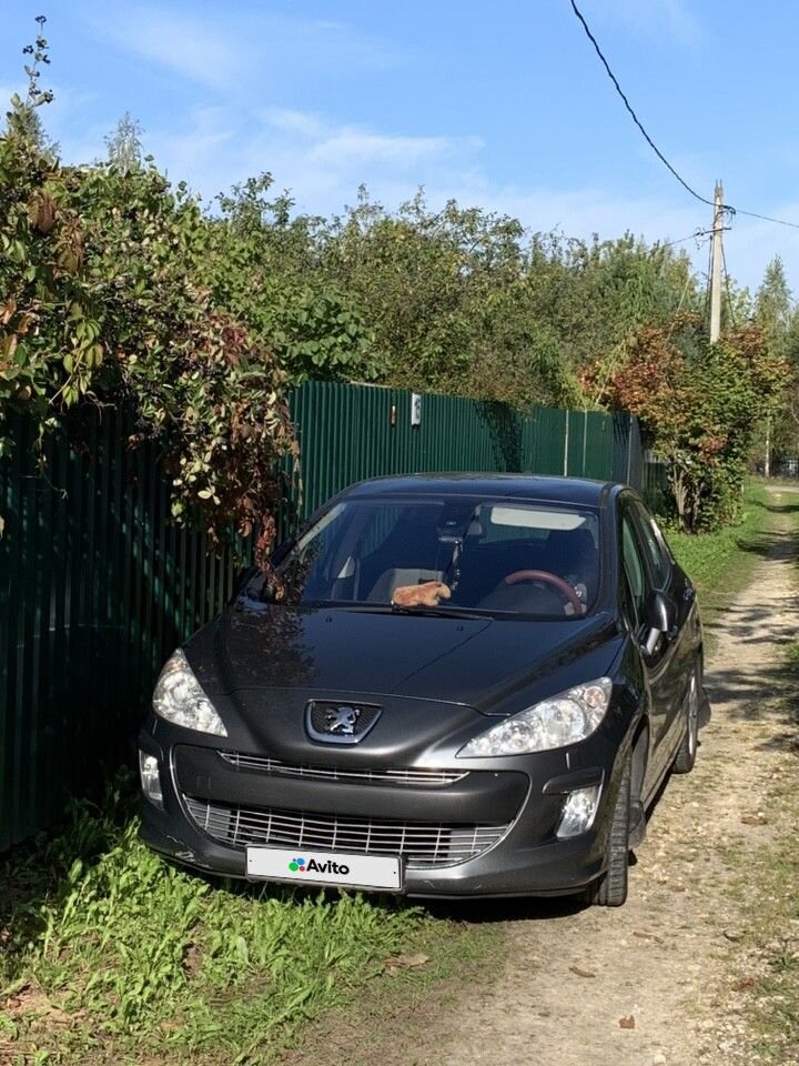 Peugeot 308: фото владельца