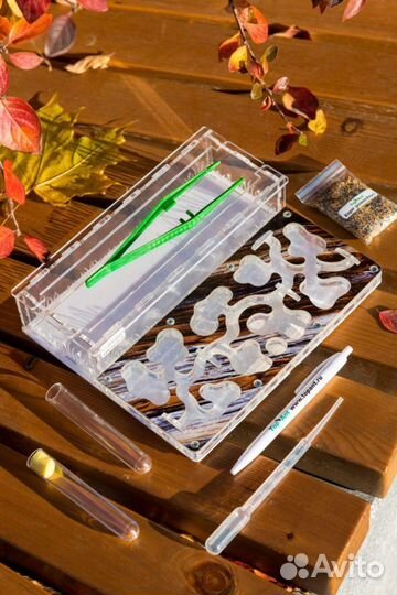 Формикарий / Муравьиная ферма