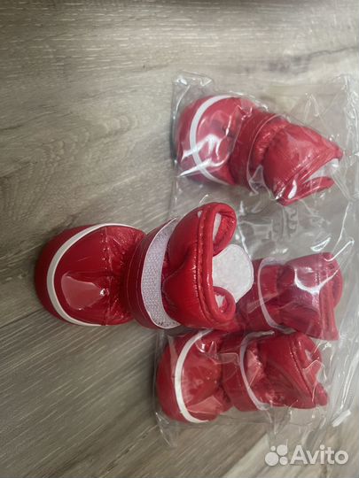 Обувь для собак мелких пород