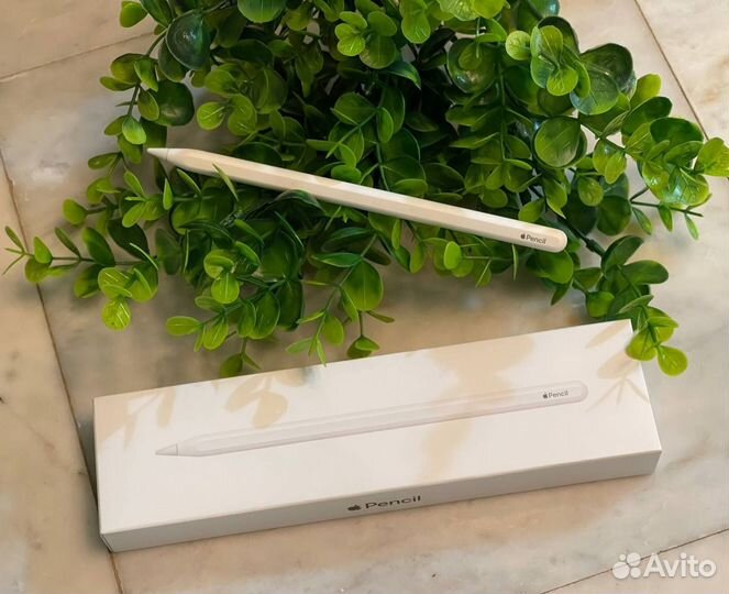 Apple pencil 2