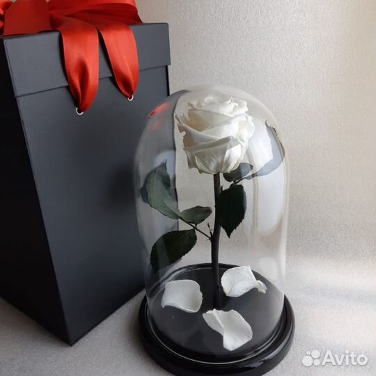 Вечная роза В стеклянной колбе