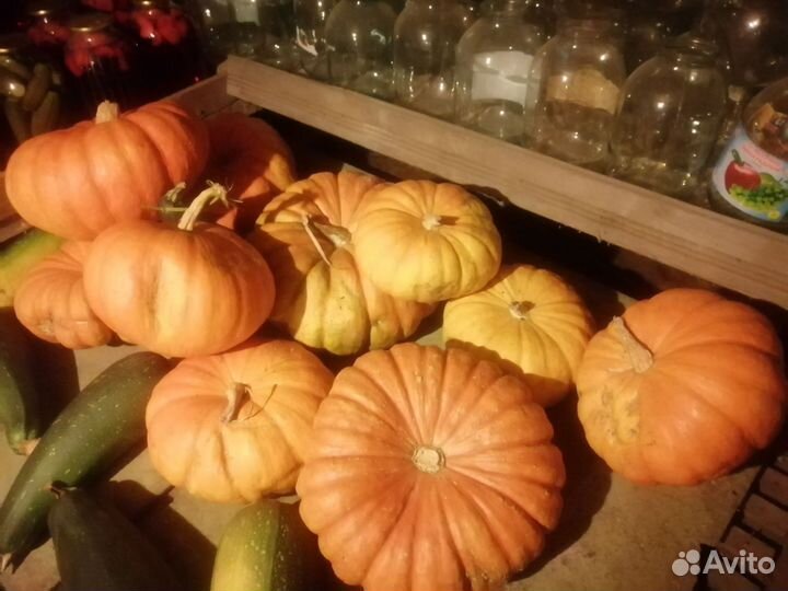 Тыква большая и средняя сладкая