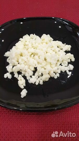 Тибетский молочный гриб