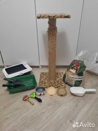 Аксессуары для кошек