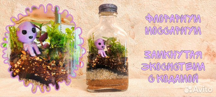 Флорариум, моссариум с кодамой