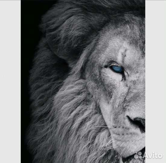 Картина на холсте loftime 30х40