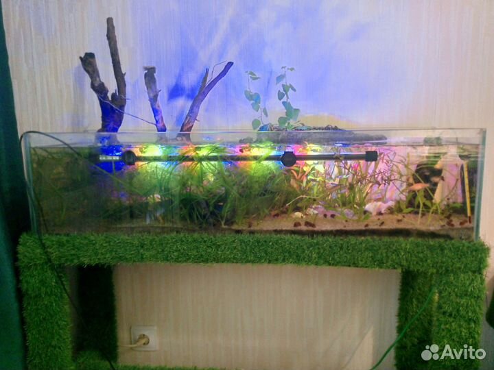 Аквариум с растениями, корягой, рыбками