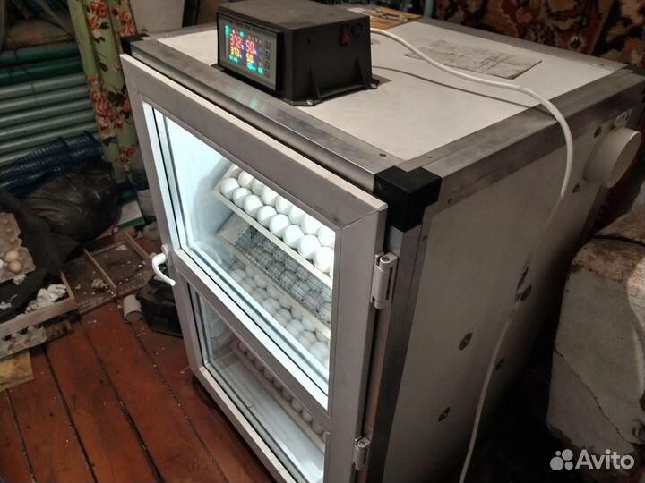 Инкубатор на 500 яиц