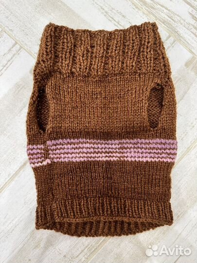 Одежда для животных