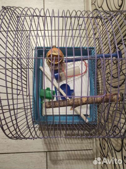Клетка для волнистого попугая