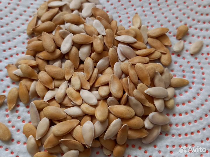 Семена арбуза и дыни