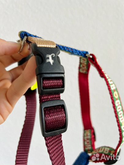 Шлейка для маленькой собаки