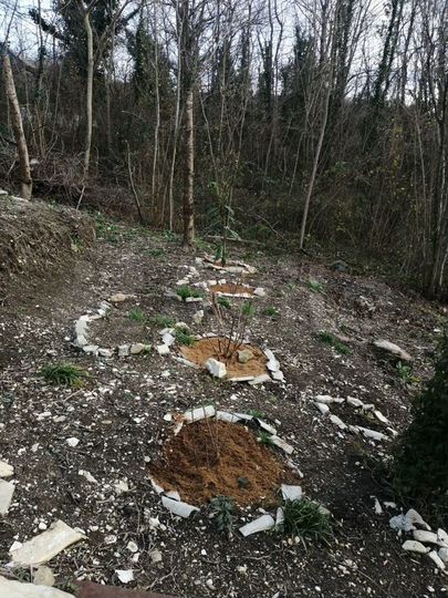 Участок 5 сот. (СНТ, ДНП)