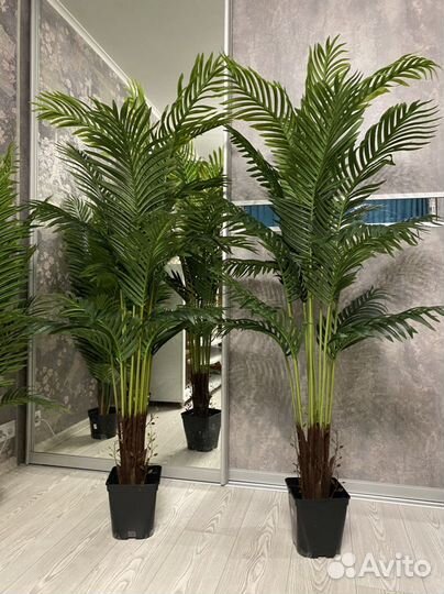 Искусственные деревья. Искусственные пальмы