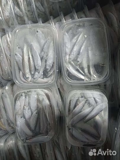 Тюлька камская