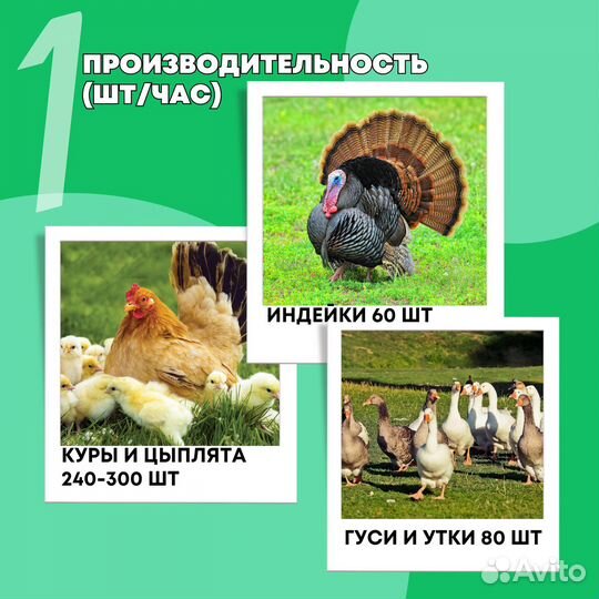Шпарчан с системой активного барботирования