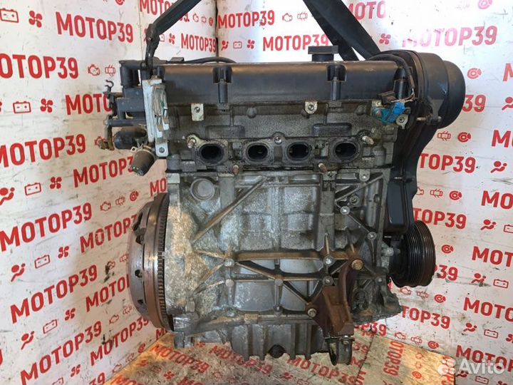 Двигатель Ford Focus 1.6 I shda 2009