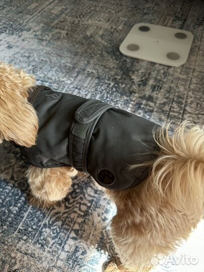 Пальто для собак