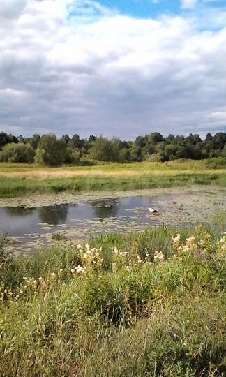 Участок 39 сот. (ИЖС)