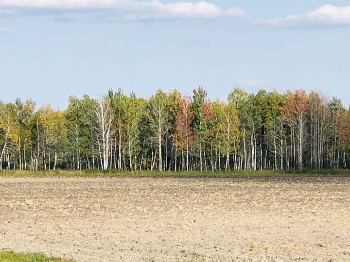 Участок 12 га (СНТ, ДНП)