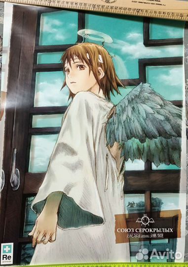 Плакаты Reanimedia