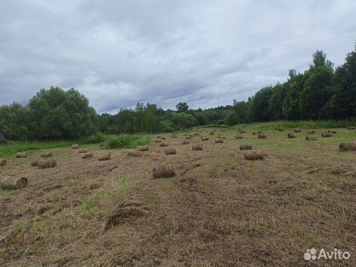 Сено в мини рулонах
