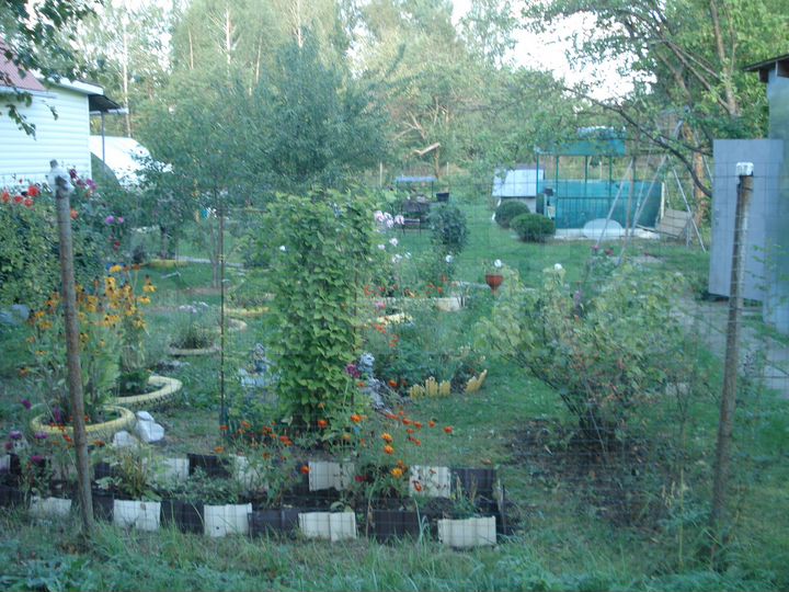 Дача 40 м² на участке 6 сот.