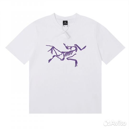 Футболка Arcteryx Palace