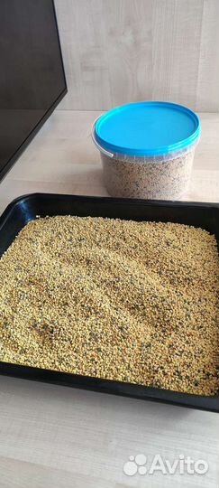 Пыльца пчелиная