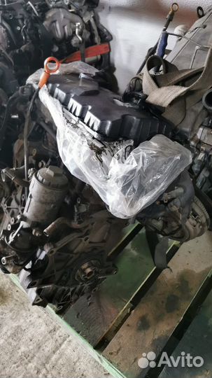 Двигатель Volkswagen, Skoda, Audi, Ford AXC BRS