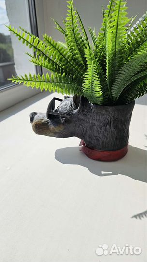 Кашпо для суккулентов