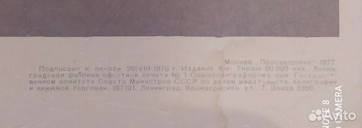 Анатомия и физиология человека. Головной мозг чело