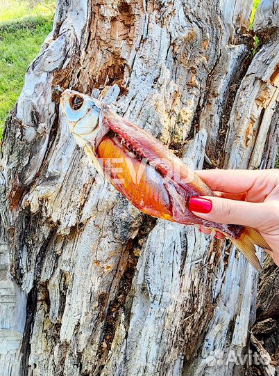 Икра воблы из Астрахани