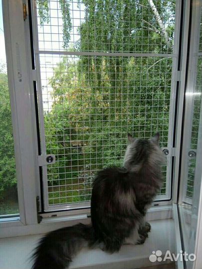 Решетка Антикошка