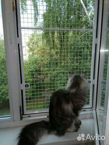 Решетка Антикошка