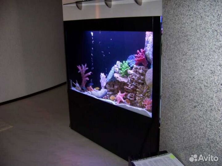 Обслуживание аквариумов морских и пресноводных