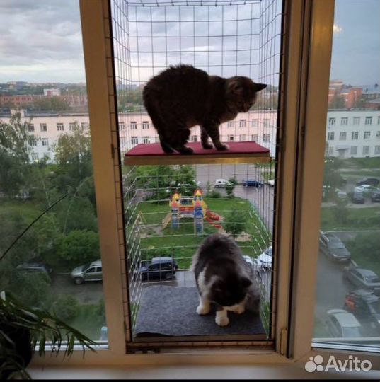 Балкон для домашних Любимцев. Кошечек и котиков