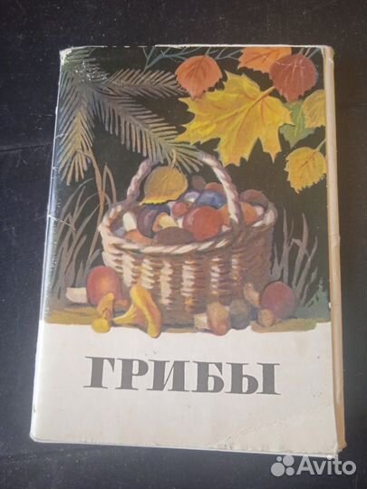 Открытки СССР 1971 грибы