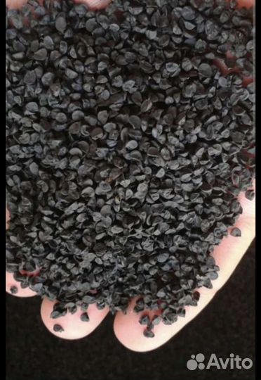 Семена лука Севка (чернушка)