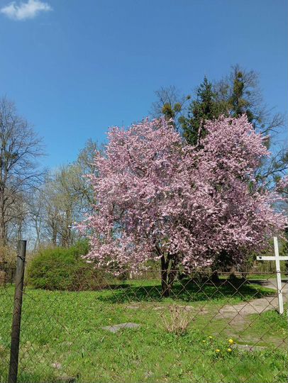 Дом 120 м² на участке 6 сот.