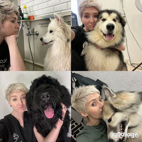 Груминг собак крупных пород