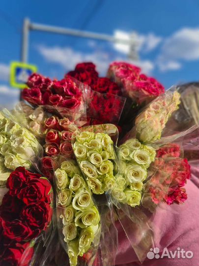 Роза букет роз 51 101