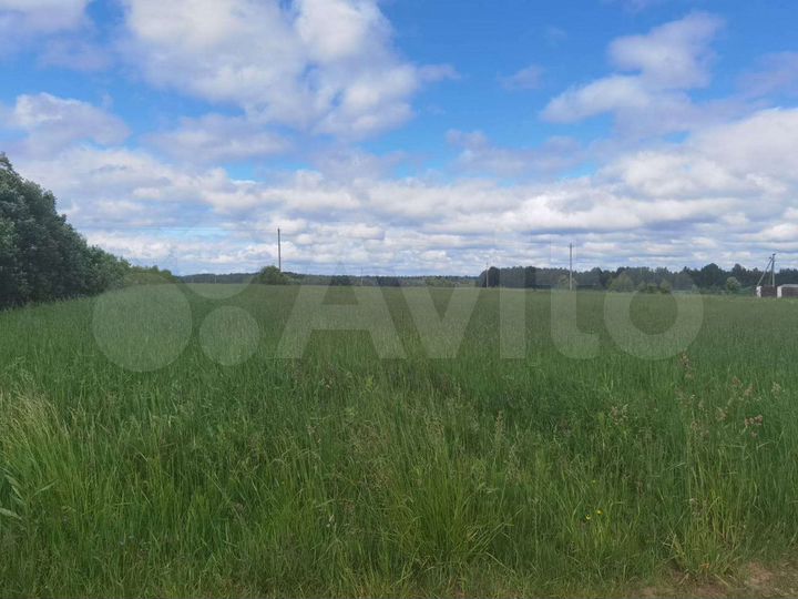 Участок 25 сот. (ИЖС)