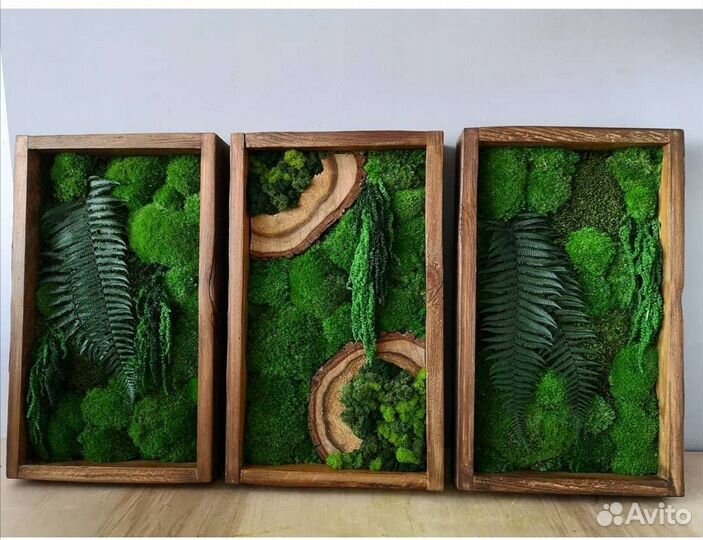 Мох стабилизированный стена из мха со мхом