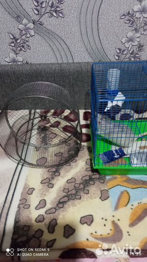 Колесо для шиншиллы