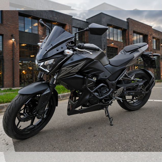 Kawasaki Z 300, 2015, 14 400 км