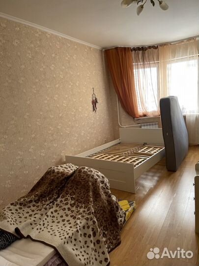 Уничтожение клопов, тараканов, блох