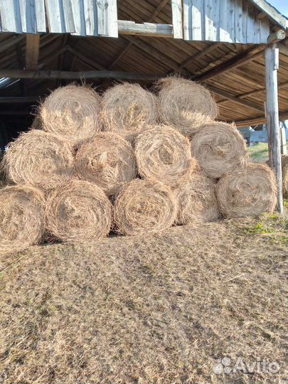 Сено в рулонах
